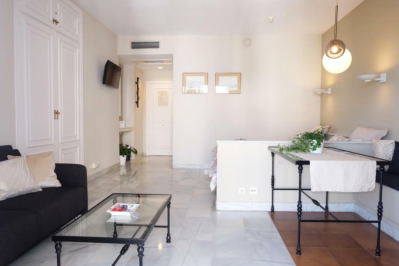 Studio Mimo Banus P.y.r. Apartment