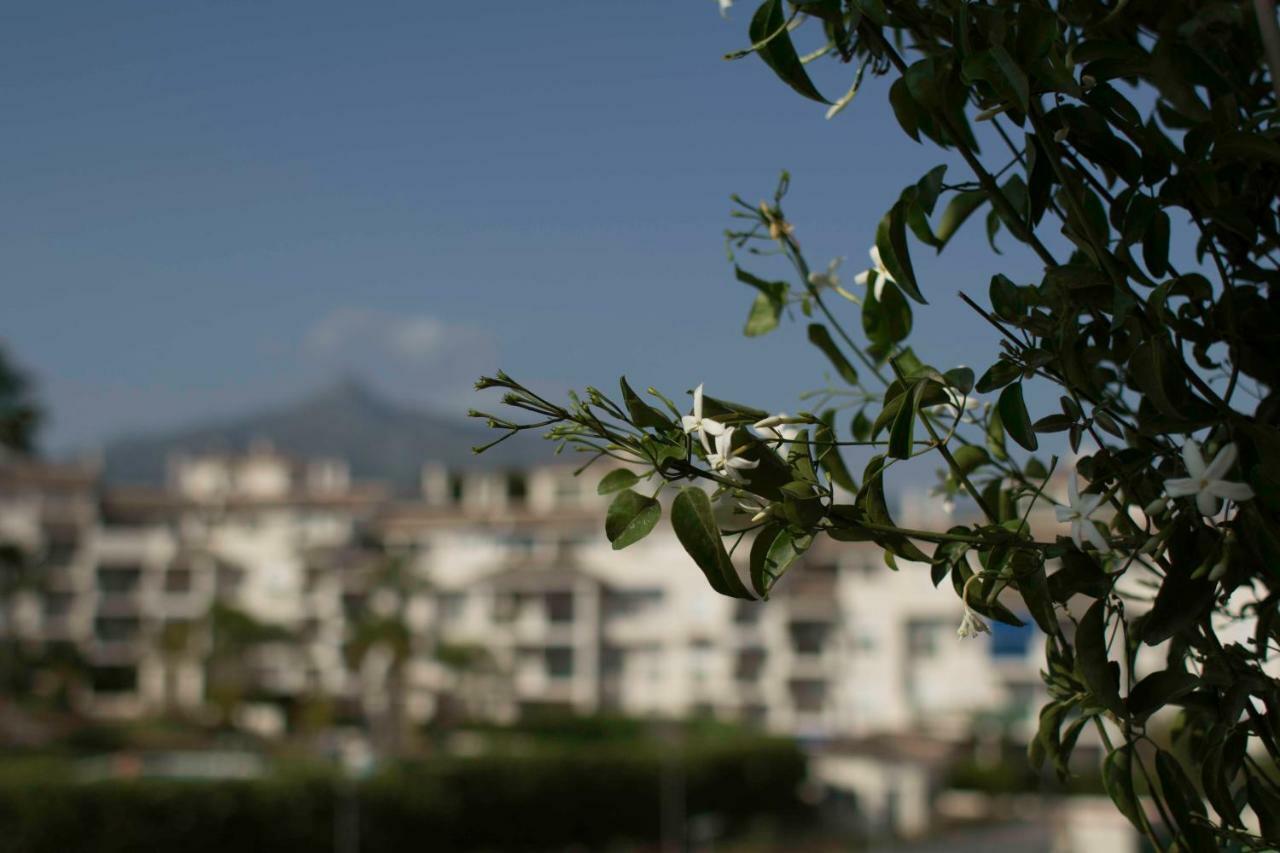 Cozy Banus * Marbella