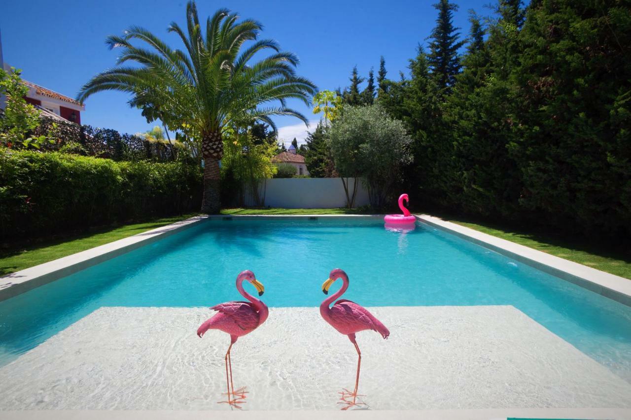 Flamingos *