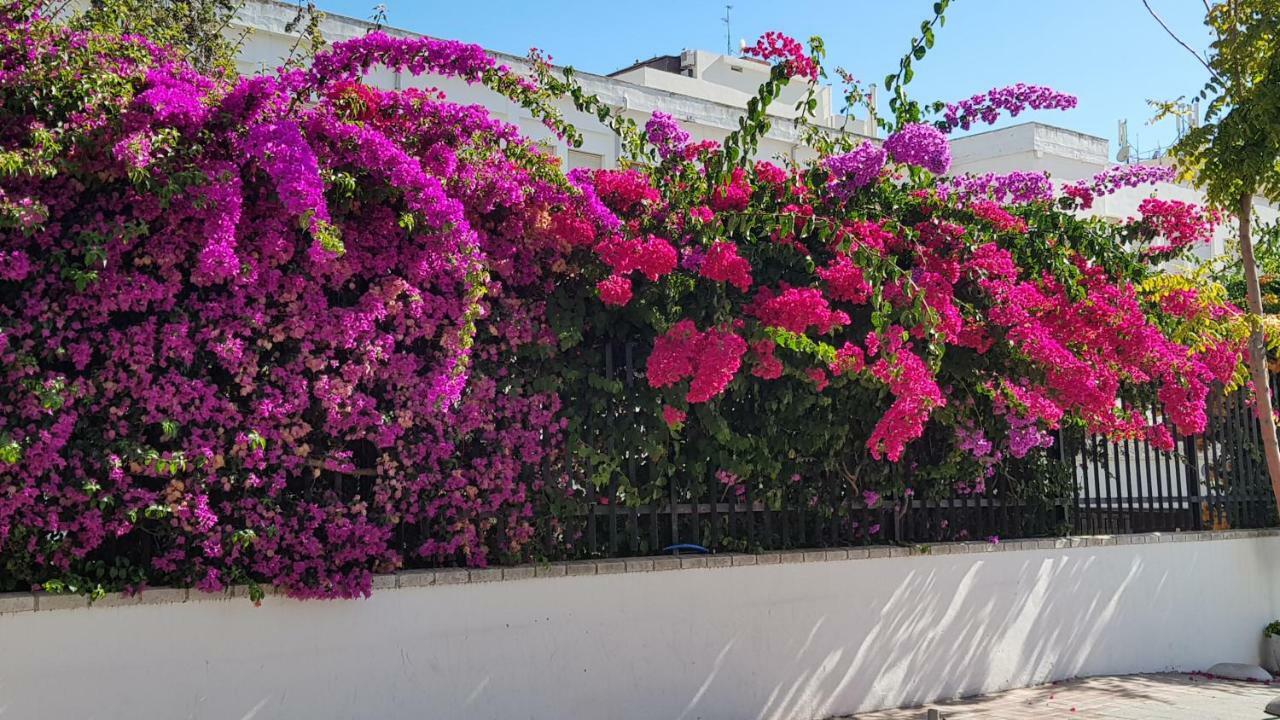 Apartamento Jardines De Lunamar