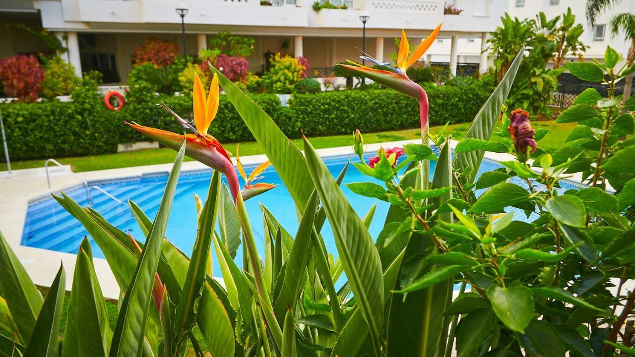 San Pedro Del Mar Appartement