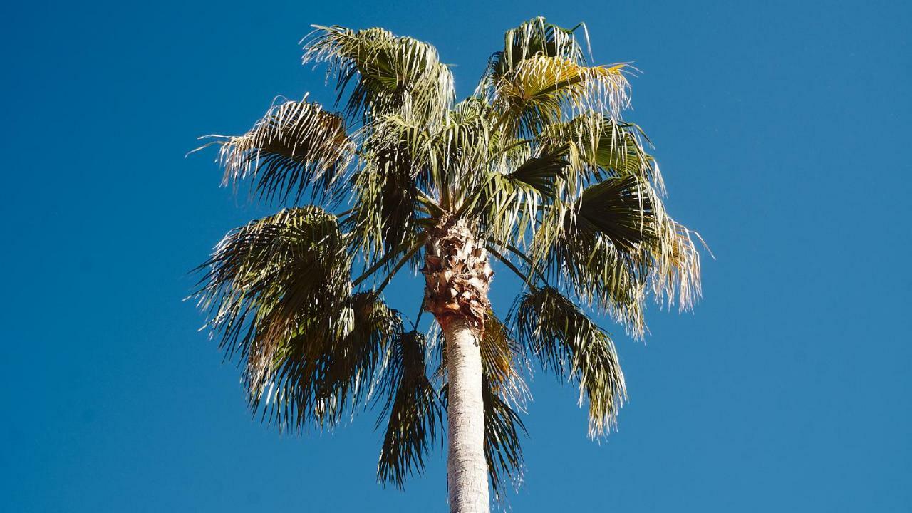 San Pedro Del Mar * Marbella