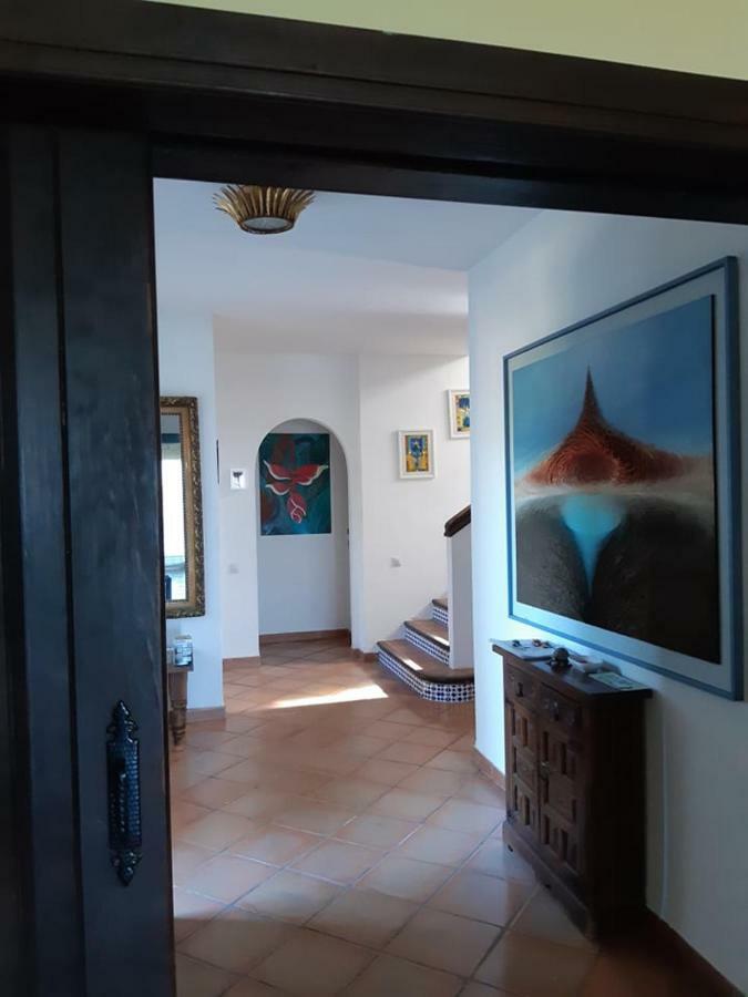 Tortuga * Marbella