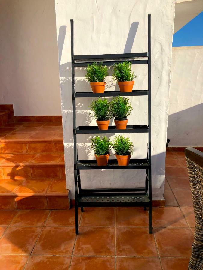 Luxury Duplex With Views. Vakantiehuis