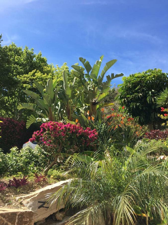 Apartamento Balcon Del Mediterraneo Marbella