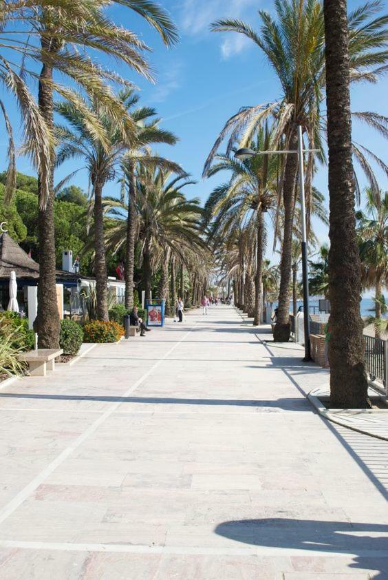Carib Playa *