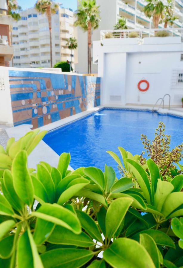 Appartement Palm *