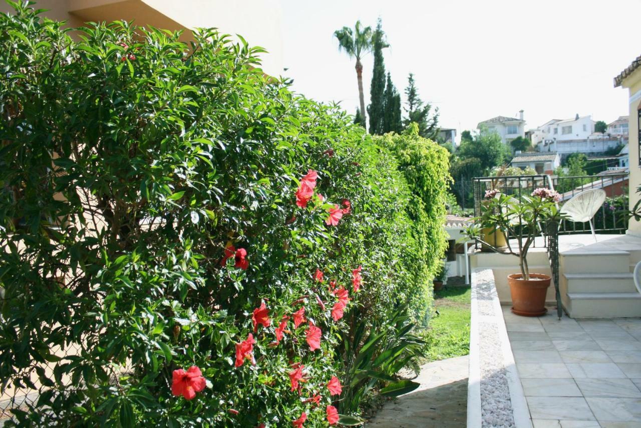 Vakantiehuis The Garden & Pool House-banus