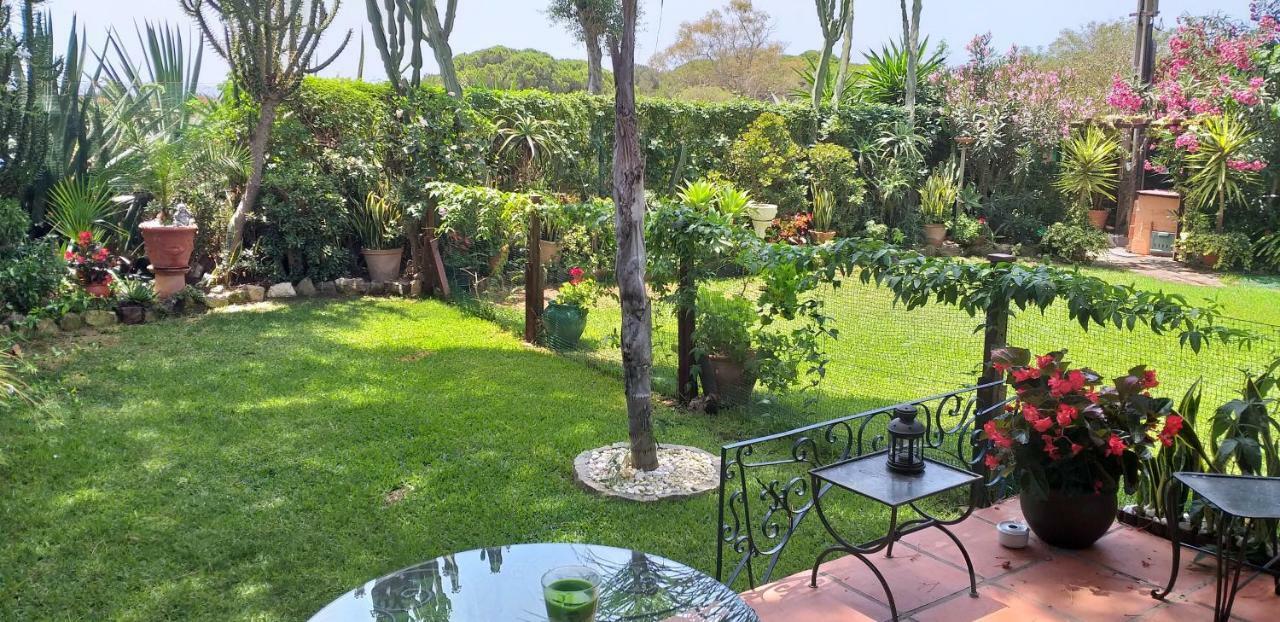 Appartement Garden At Casa Madden *