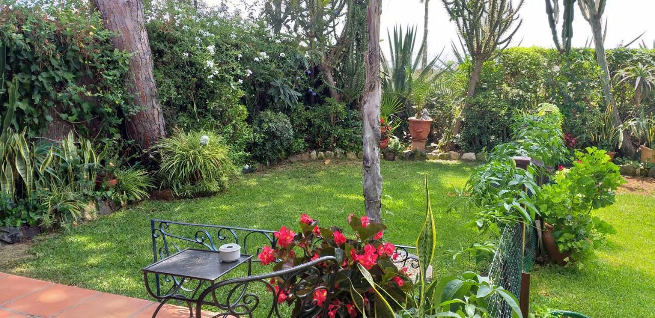 Garden At Casa Madden *
