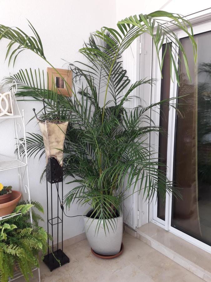 Apartment Banana 1a Linea De Playa Marbella