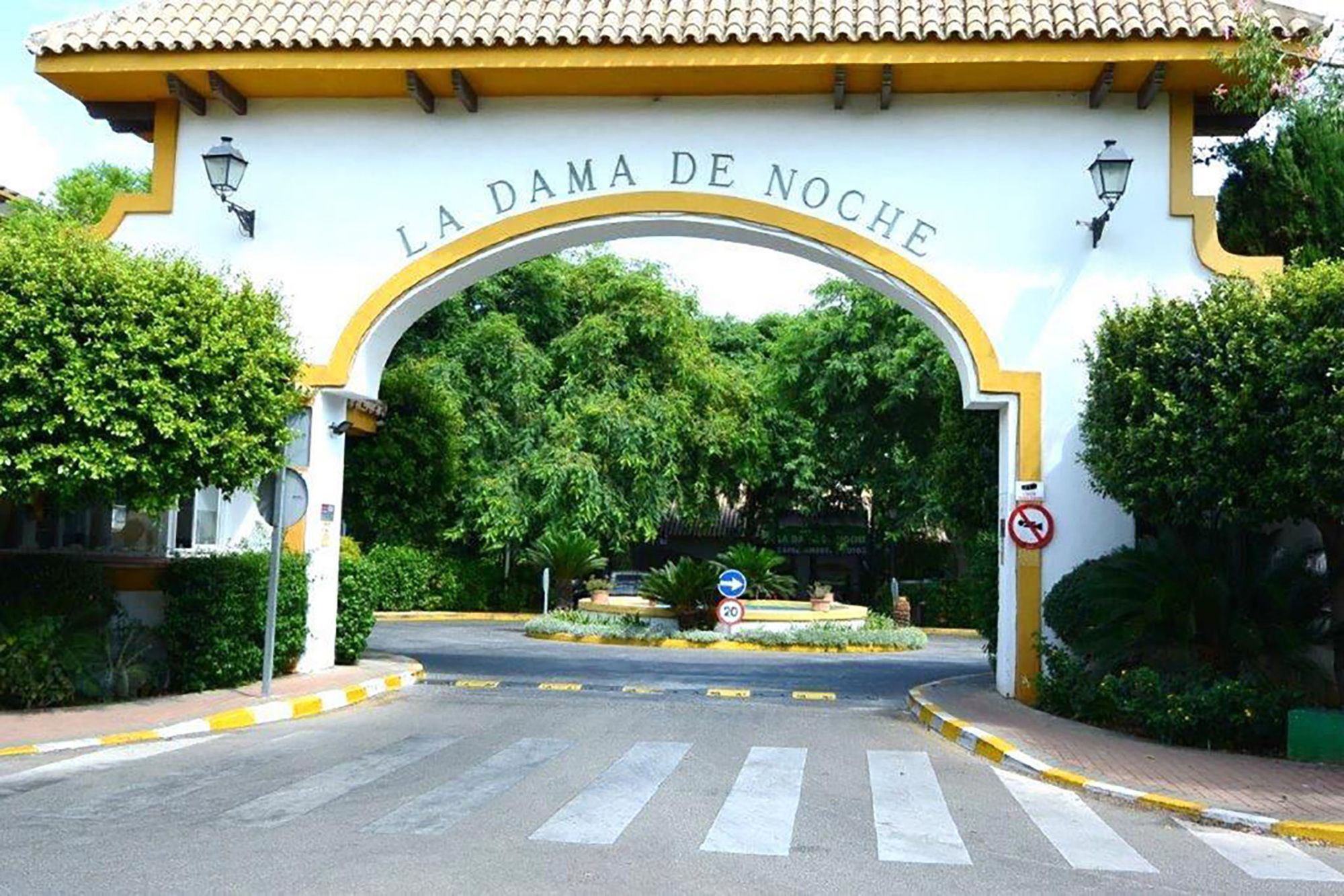 Dama De Luna *