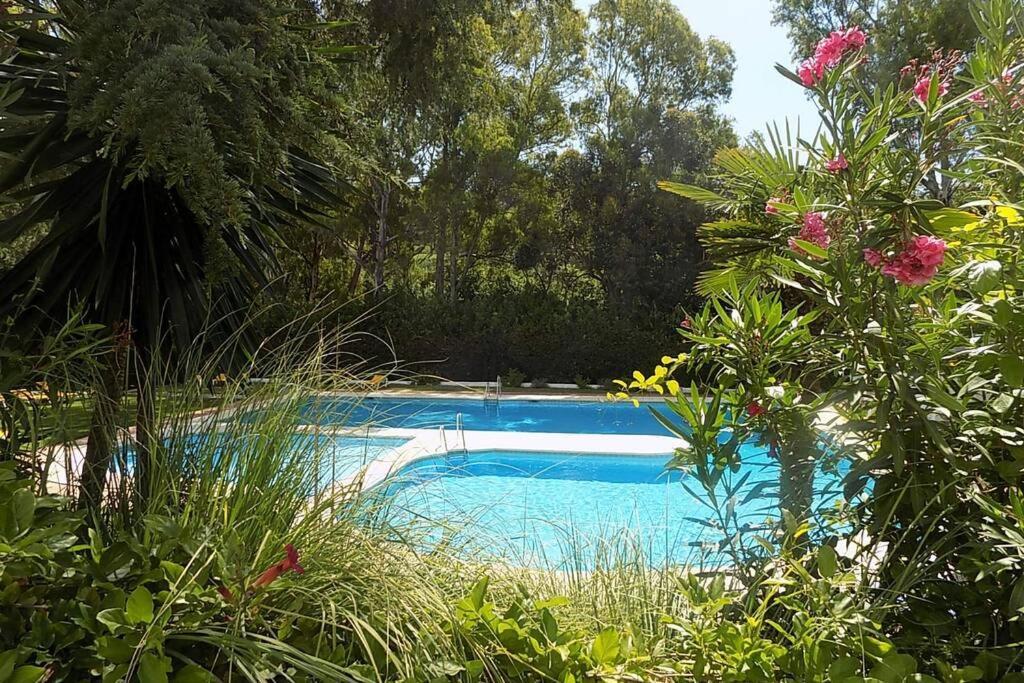 Le Village Apartment Marbella