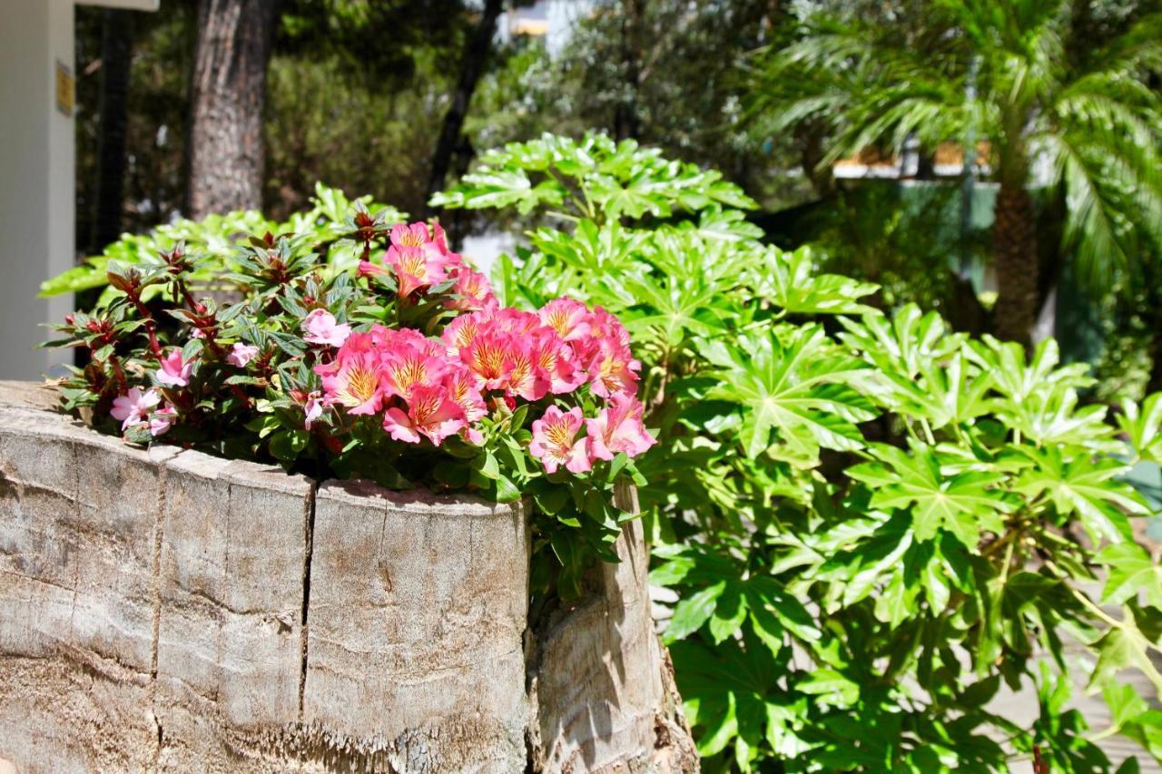 In Jardines De Golondrinas *