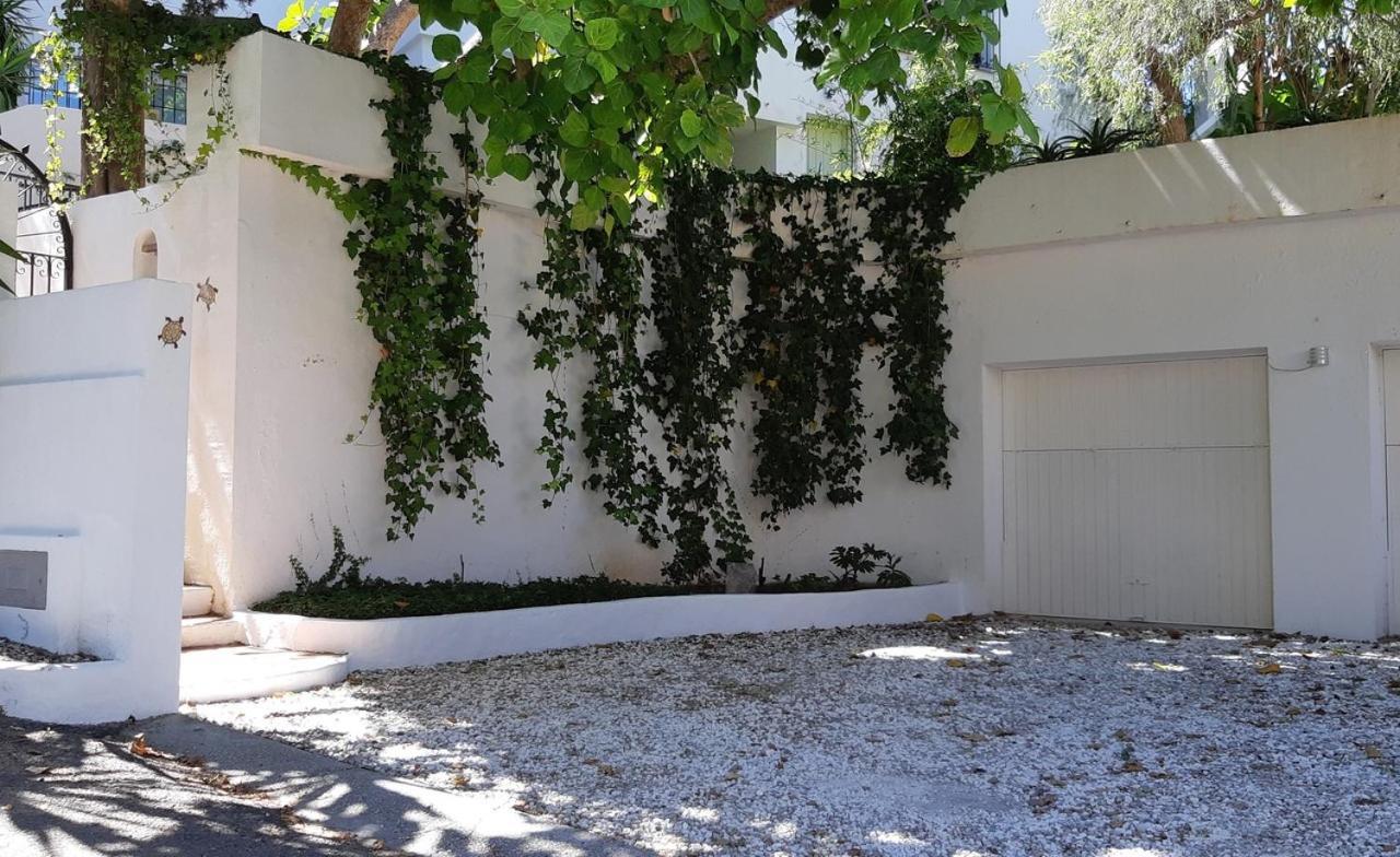 Tortuga Villa