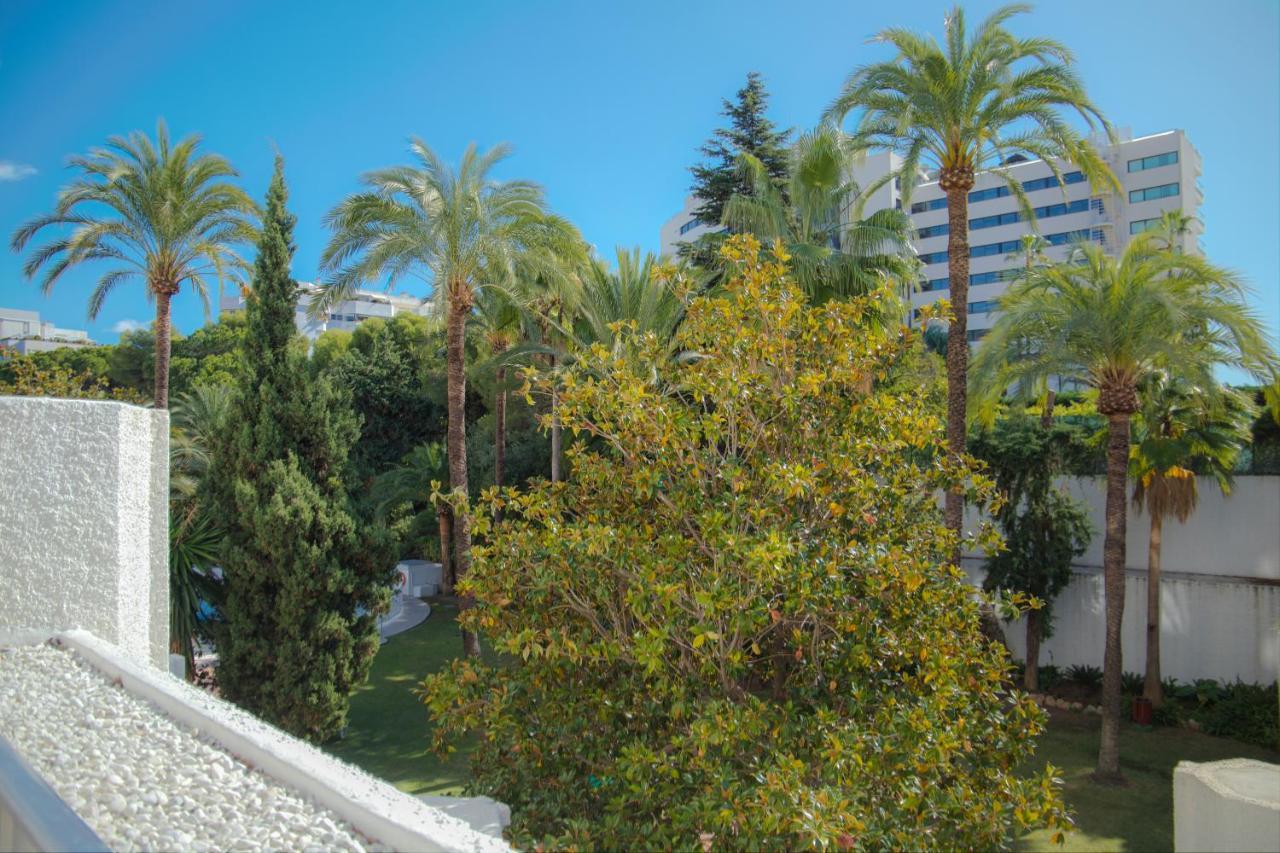 Apartment In 200m To The ! *