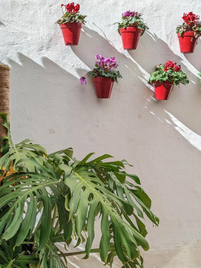 Harbor Getaway In The Heart Of Puerto Banus With Walking Dictance To Everything Apartment Marbella