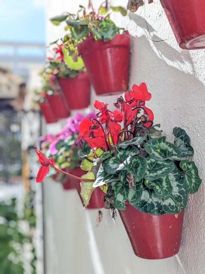 Apartment Harbor Getaway In The Heart Of Puerto Banus With Walking Dictance To Everything