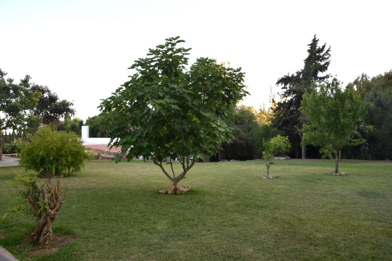 Casa Therese * Marbella