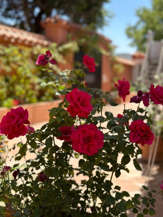 El Rosal * Marbella