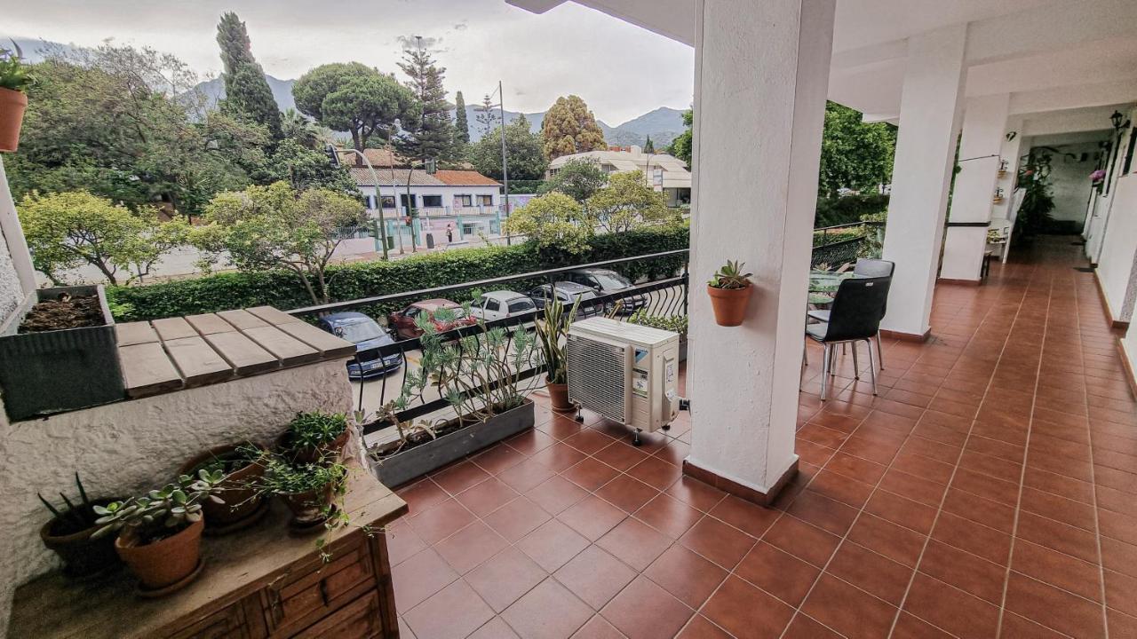 Palm House Appartement