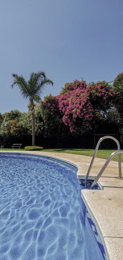 Palm House * Marbella