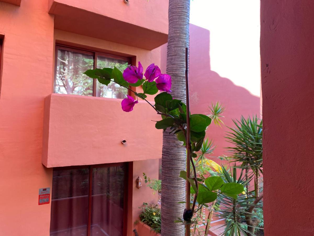 Apartment Don Carlos Marbella