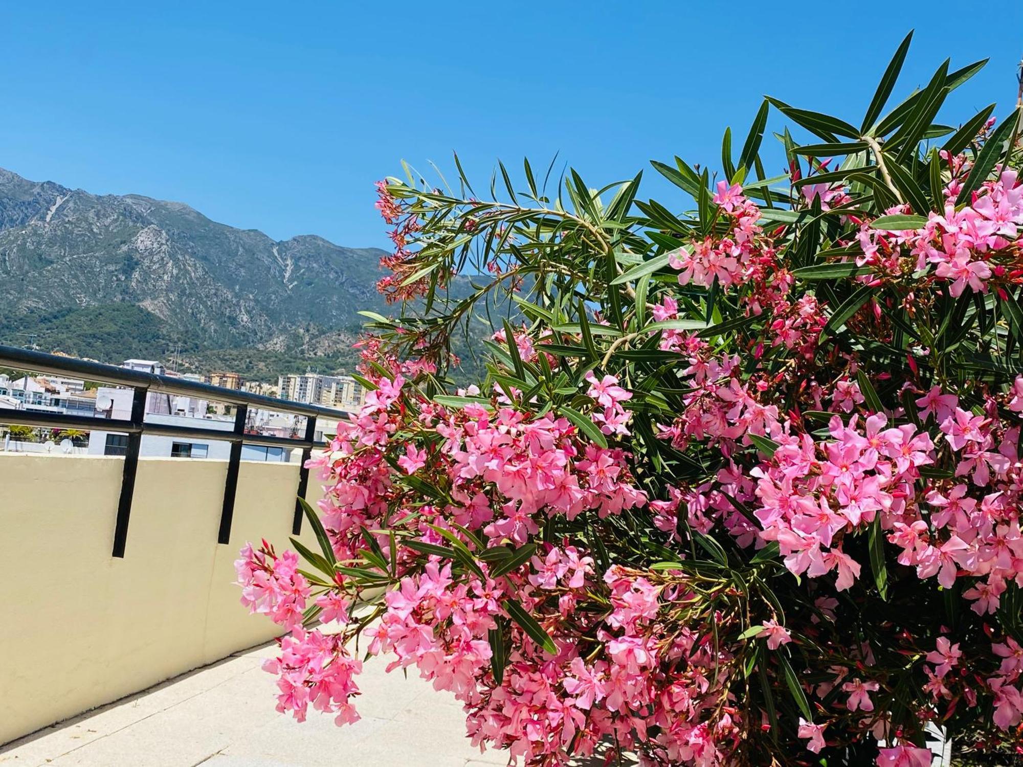 The First Line Of The Sea Appartement Marbella
