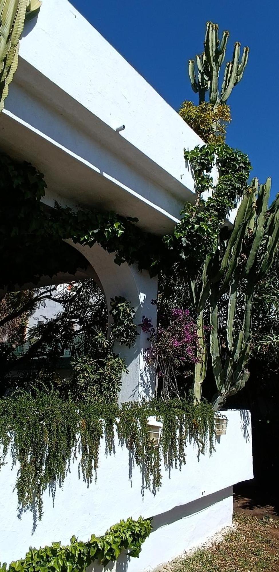 Tortuga Villa *