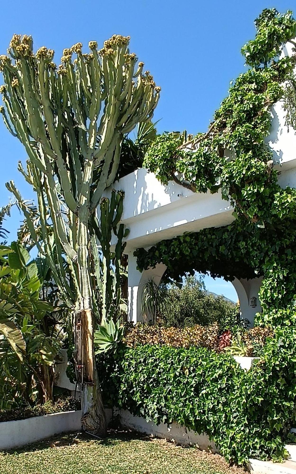 Villa Tortuga *