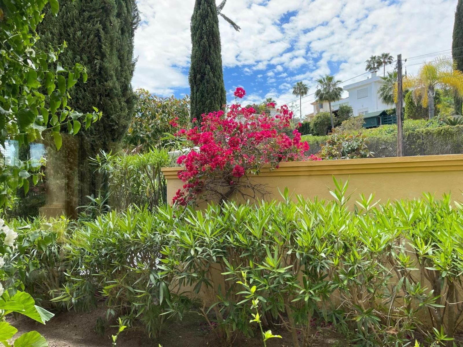 Villa Golf In Marbella, Frontline Golfvilla In Rioreal Golf *
