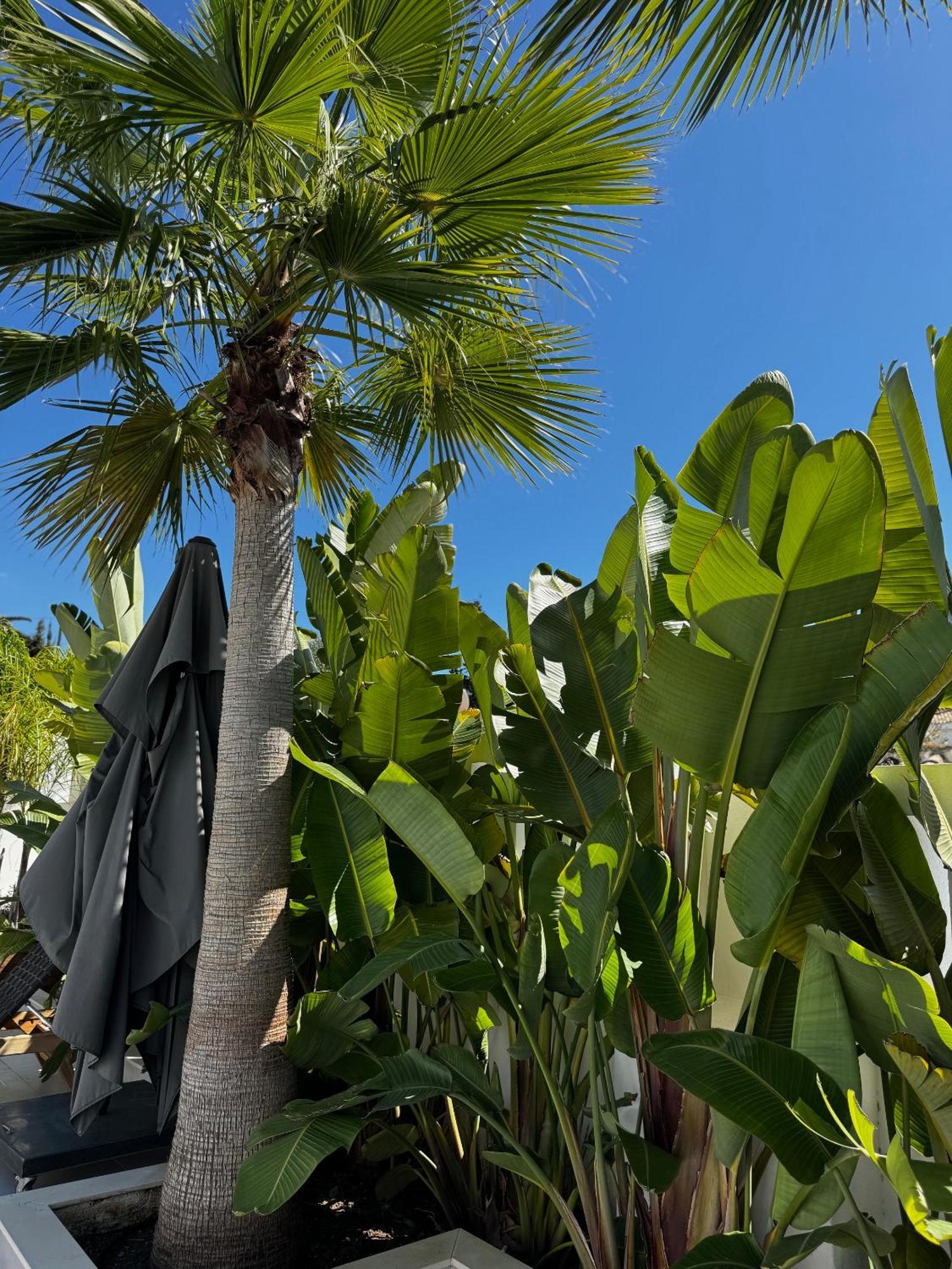 Marbella Bliss - Luxury 4-Bedroom Villa With Garden, Private Pool & Jacuzzi, Marbesa Near- 5 Min To The Cabopino Beach Villa