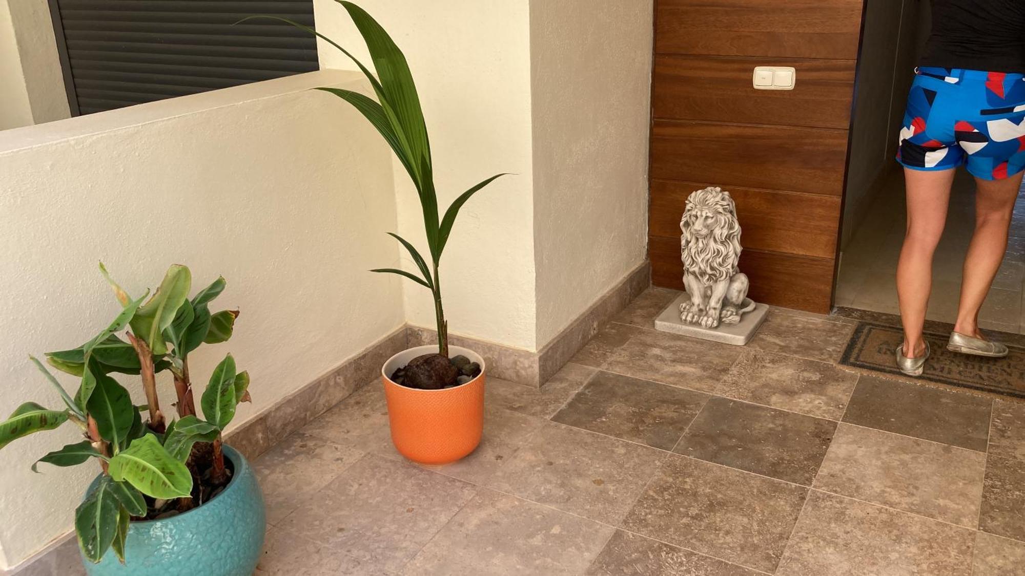Apartment Monteros Hill Club Marbella