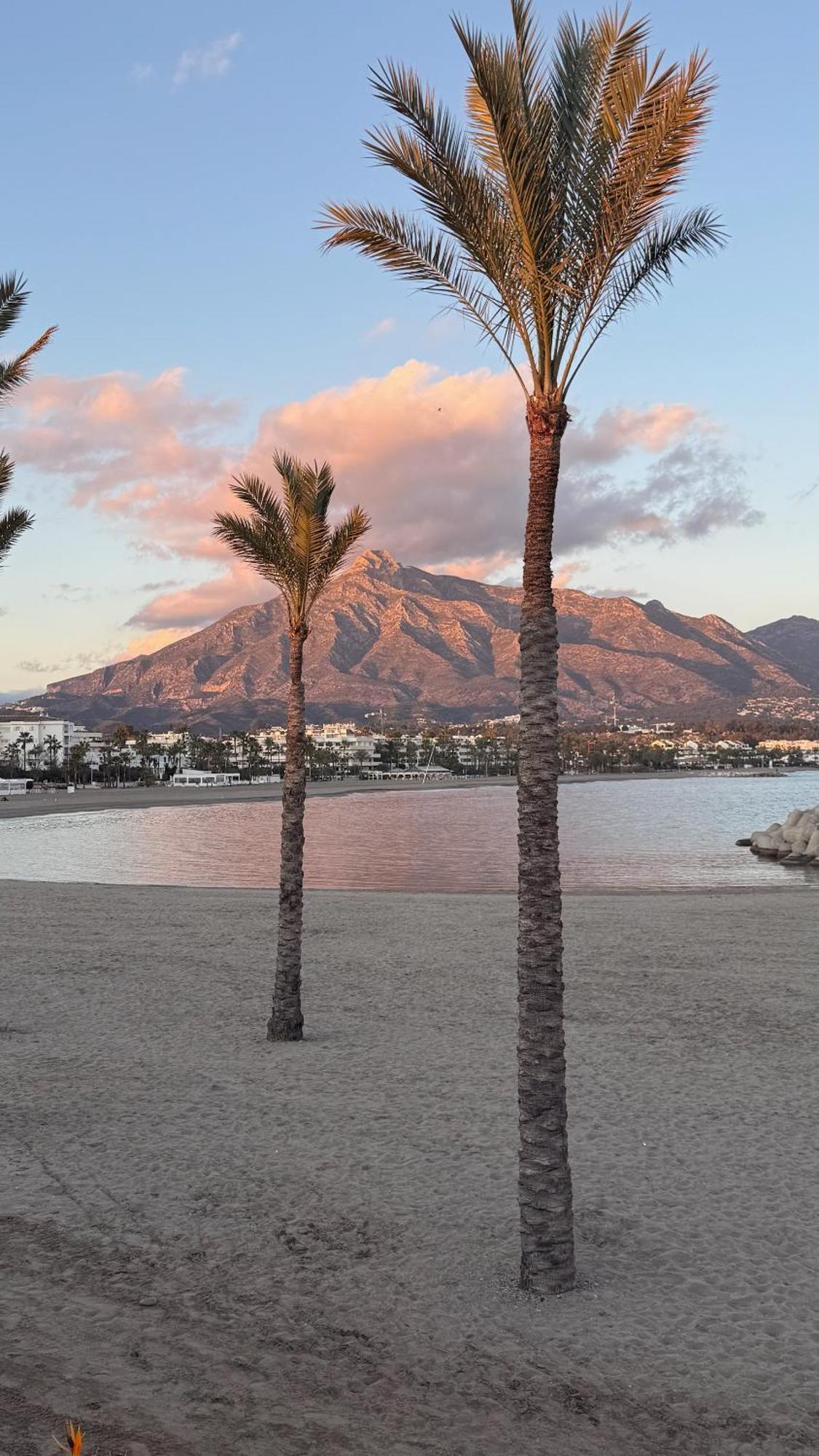 3 Lux Puerto Banus-terrace 5 Min To