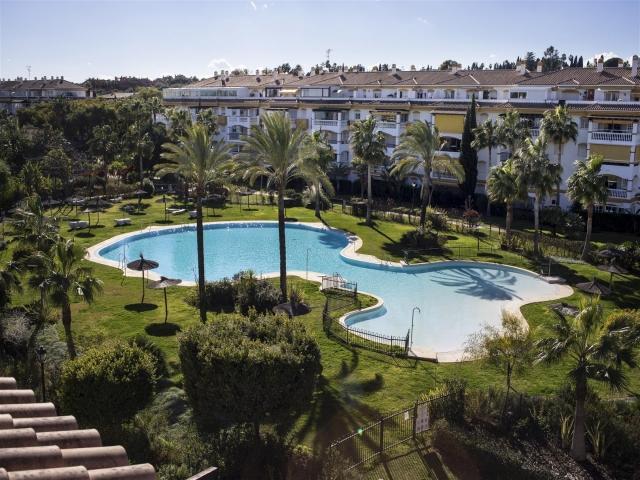 La Dame De Noche Marbella