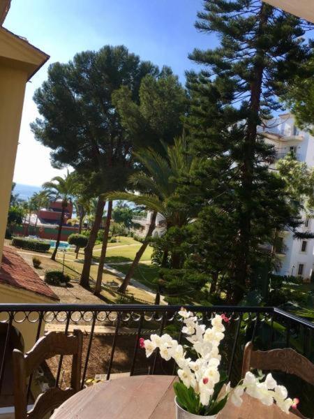 Banus Beach&pool