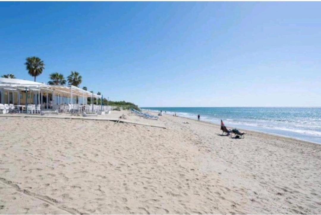 Apartment Estudio Romana Playa 301 *