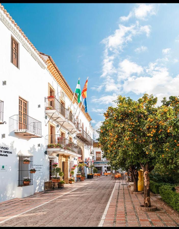 Plaza De Naranjos Centro