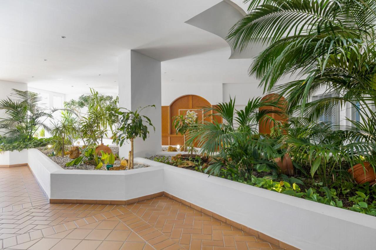 Espacioso Y Encantador En Gaviotas Appartement *
