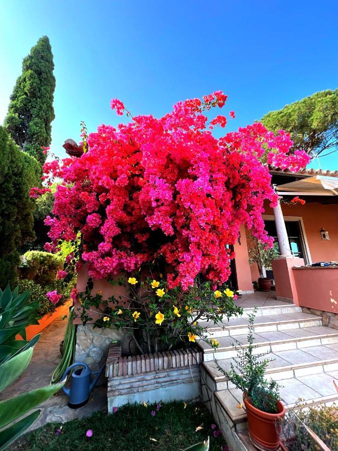 Exclusive Andalusian El Pino In Cabopino Villa *
