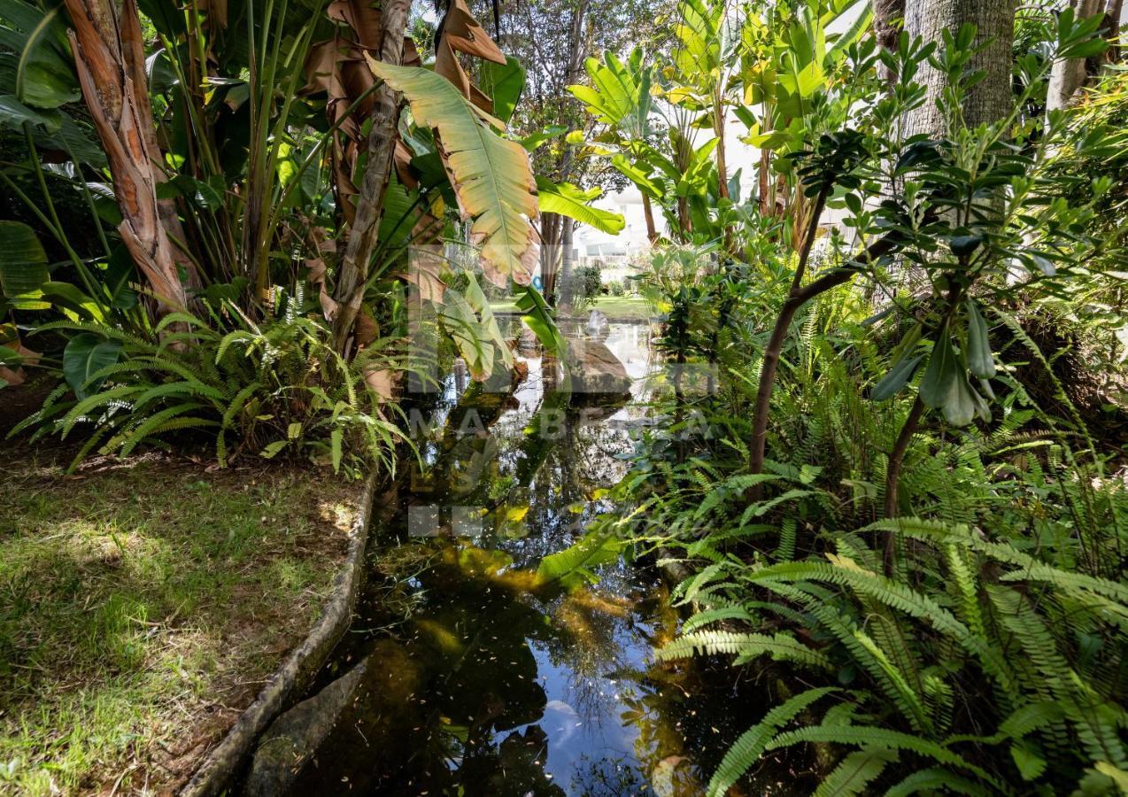Apartment Amazing ,center Of Marbella, 338 *