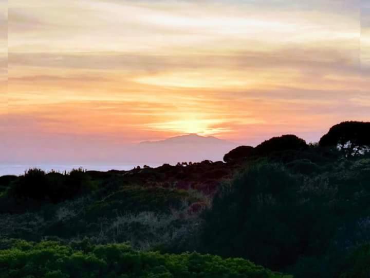 Marbesa