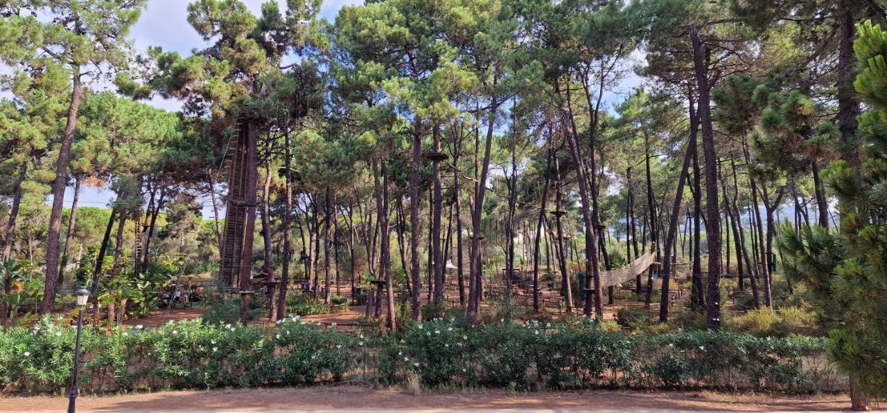 Sunny In Elviria