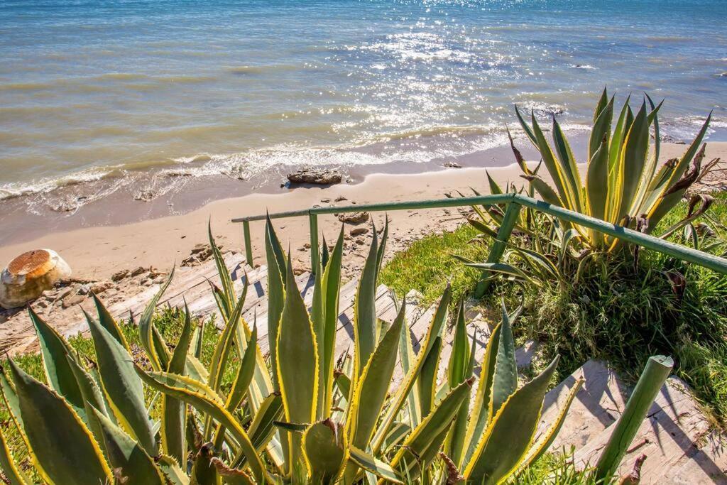 Dunas De - Beachfront 3 Bed Apartment