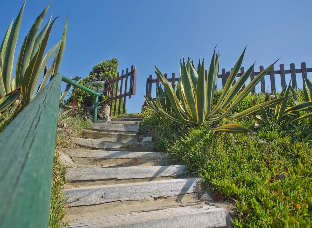Apartment Dunas De - Beachfront 3 Bed *
