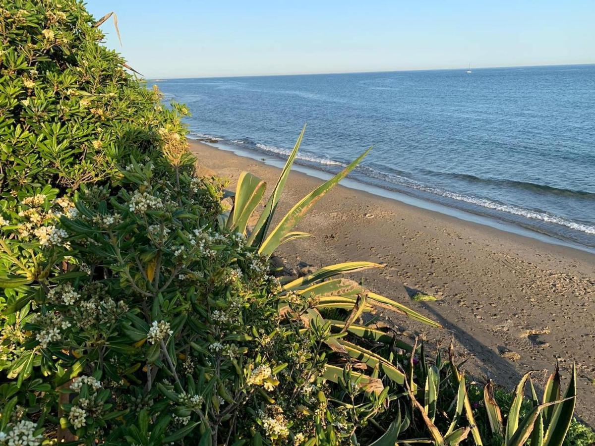 Dunas De - Beachfront 3 Bed