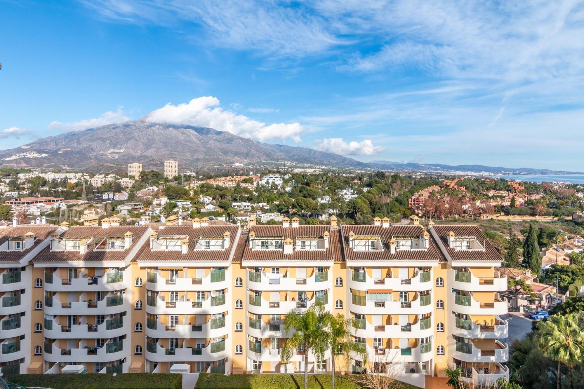 Apartment Senorio De Aloha