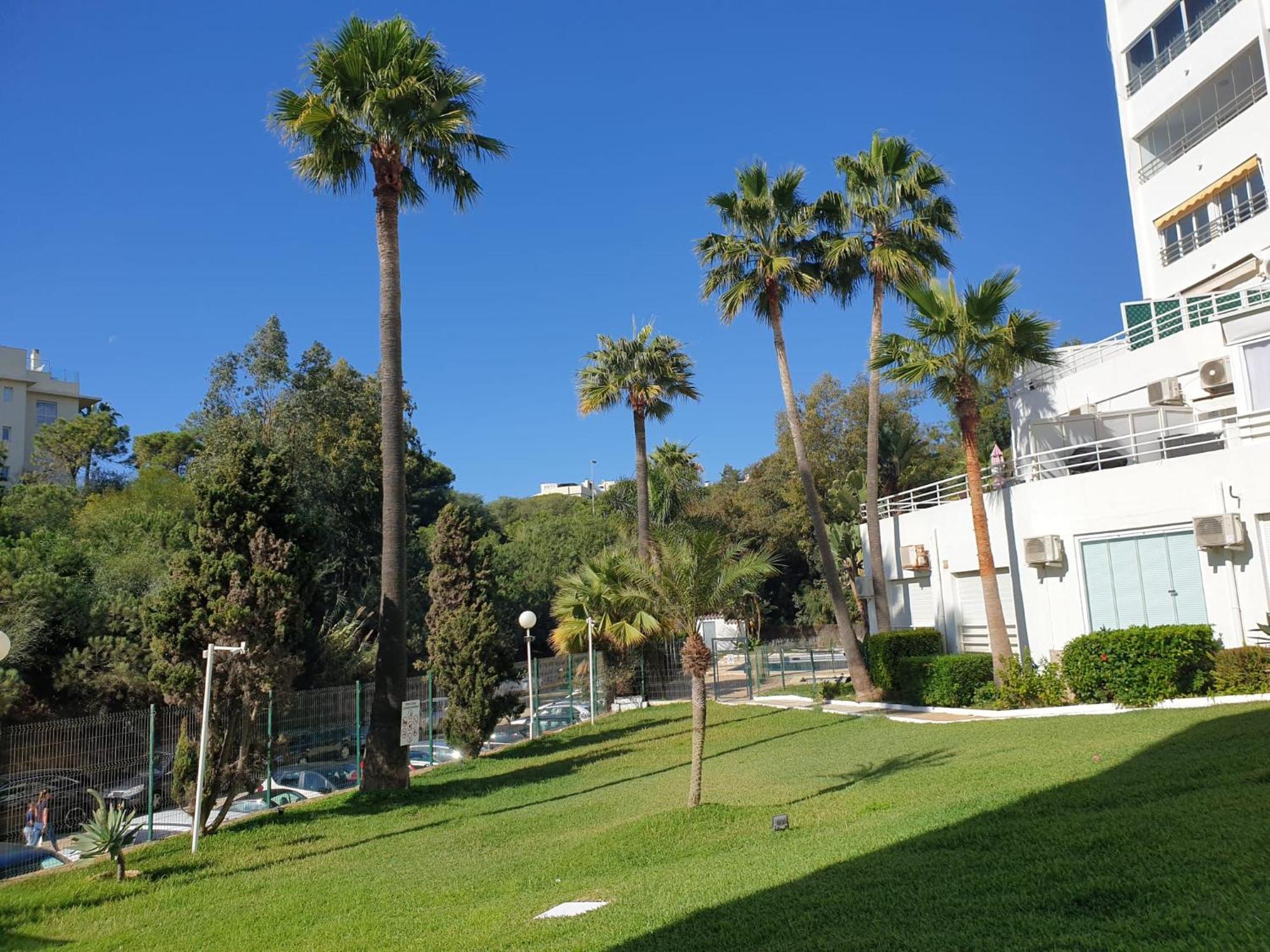 Estudio Con Increibles Vistas. *