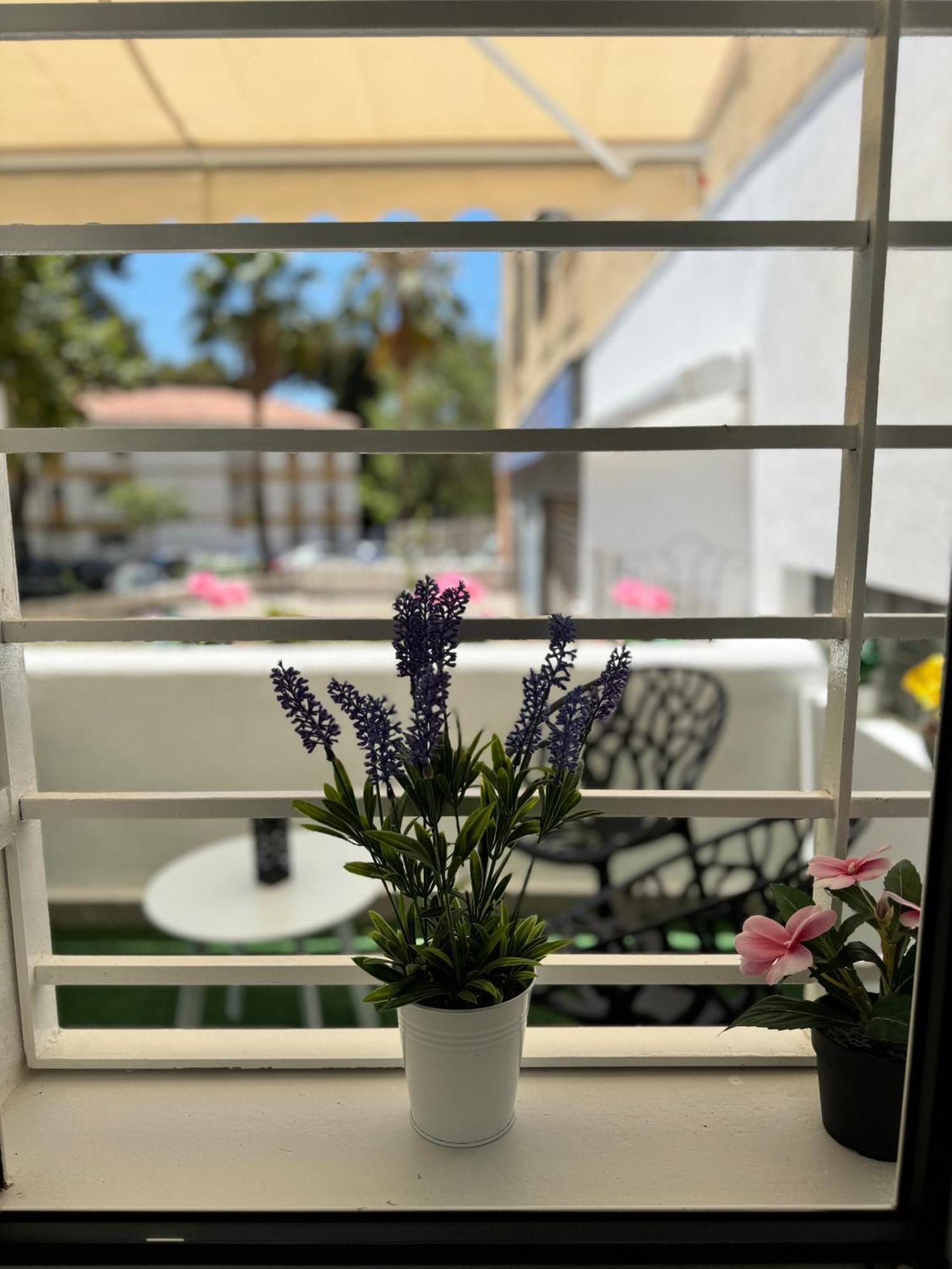 Apartamento Cascada Magnificent Recently Refurbished In Center - Eaw Homes *