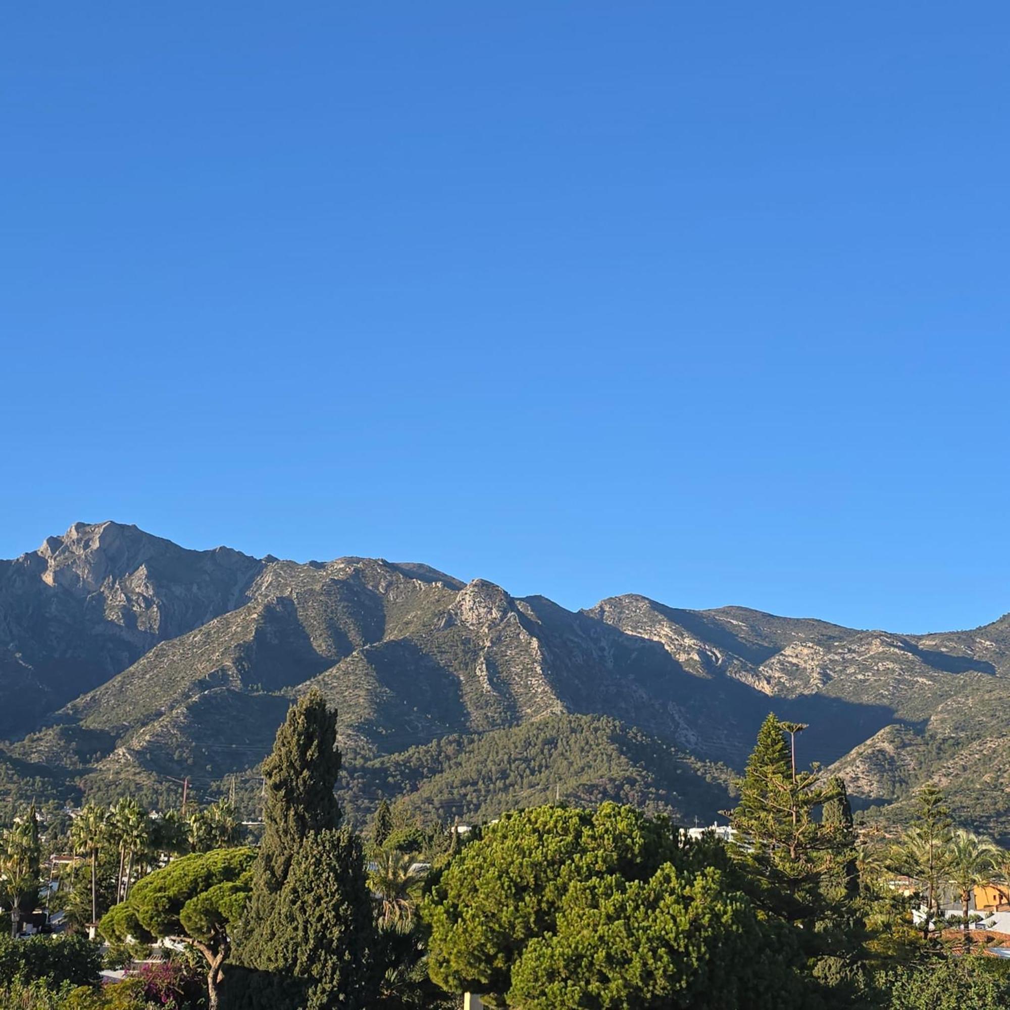 Apartamento Center Walking Distance And Plaza De Naranjos *